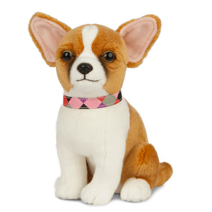 Plush Chihuahua AN513