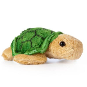 smols turtle
