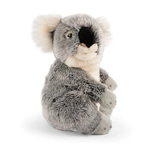 Plush Koala AN684
