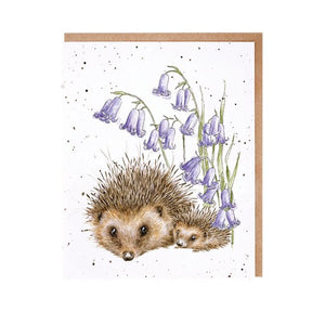 New Beginnings Hedgehogs