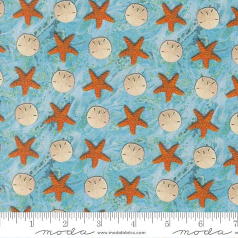 aqua, Saltwater Collection Sandy Beach Cotton Fabric 39576