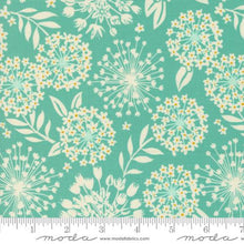 Tango Collection Simpatico Cotton Fabric 27332 aqua