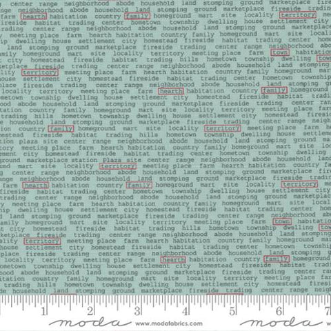 Vintage Collection Town News Cotton Fabric 55654 aqua