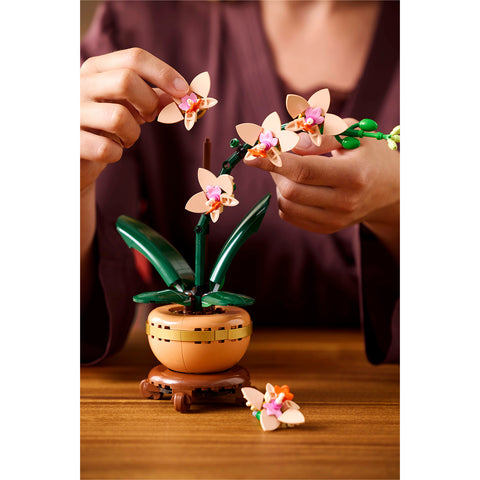 assembly, LEGO Botanicals Mini Orchid Building Set 10343