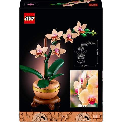 back of box, LEGO Botanicals Mini Orchid Building Set 10343