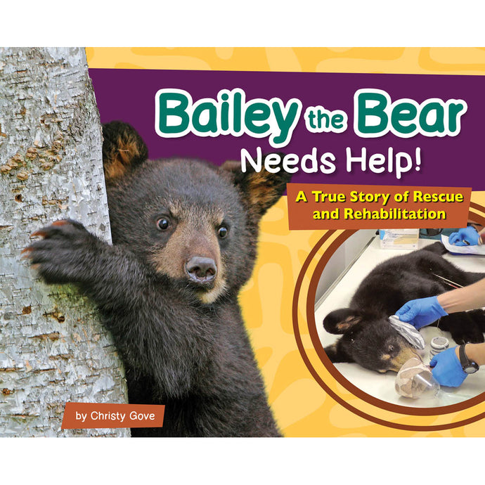Bailey the Bear Needs Help! 53449