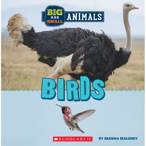 Big and Small: Birds 9781338853513