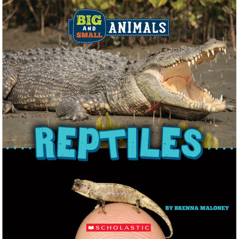 Big and Small: Reptiles 9781338853605