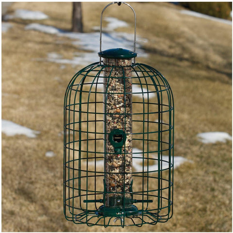 Tube bird feeder in cage