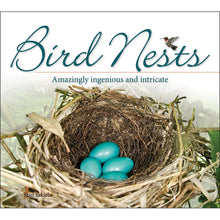 Bird Nests 9781591934684