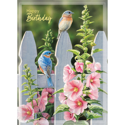 Backyard Beauties Birthday Card