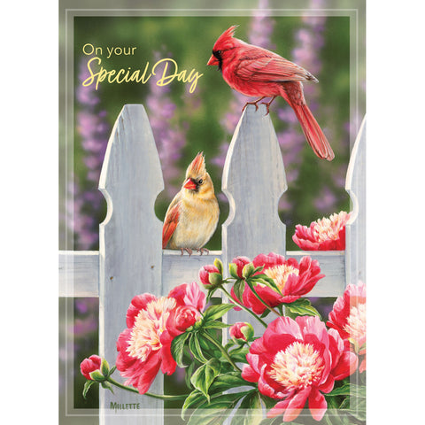 Backyard Beauties Birthday Card