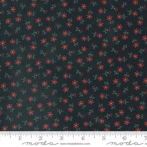 Daisy Lane Collection Floral Cotton Fabric 9763 black