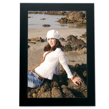 black, Frame Brushed Aluminum Frame 230