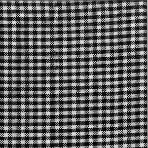 Dunroven House Toweling black and white mini check