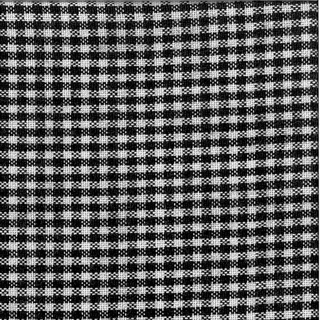 Dunroven House Toweling black and white mini check