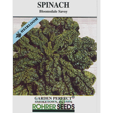 Bloomsdale Spinach