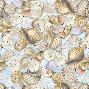 200 Mixed Natural Small Seashells, 1/31/2 . Shell Crafts, Bulk