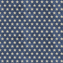 Colors of Courage Cotton Fabric Blue