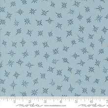 Longshore Collection Compass Cotton Fabric 24614 blue