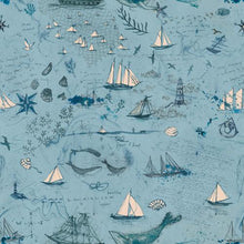 blue, Longshore Collection Passport Cotton Fabric 24618