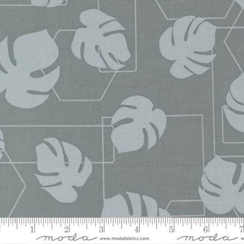 blue, Potted Collection Monstera Geo Canvas Cotton Fabric 26142