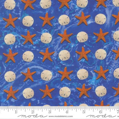 blue, Saltwater Collection Sandy Beach Cotton Fabric 39576