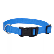Blue Lagoon Adjustable Dog Collar with Plastic Buckle