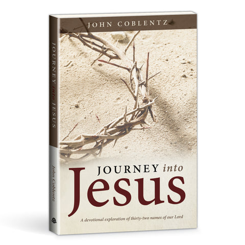 Journey into Jesus book
