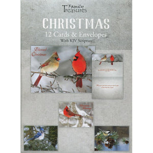 Winter Birds Christmas Boxed Cards FT22443