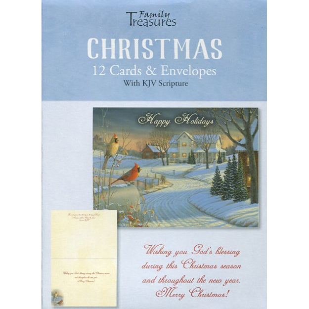 Wintertime Christmas Boxed Cards FT81874
