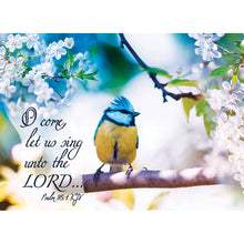 Boxed Cards Birthday Songbirds KJV Scripture 12 Cards 4 Designs