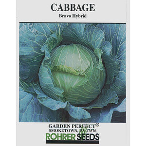 Bravo cabbage seed pack