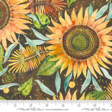 Floribunda Collection Sunflower Power Cotton Fabric 39802 brown