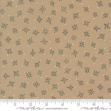 Longshore Collection Compass Cotton Fabric 24614 brown