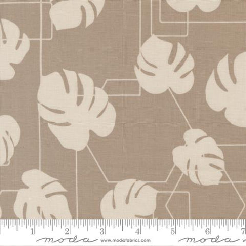 brown, Potted Collection Monstera Geo Canvas Cotton Fabric 26142