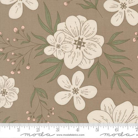 brown, Potted Collection Star Bloom Cotton Fabric 26140