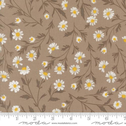 brown, Sun Drenched Collection Wild Daisy Cotton Fabric 43200