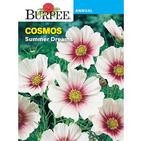 Cosmos flower seed pack