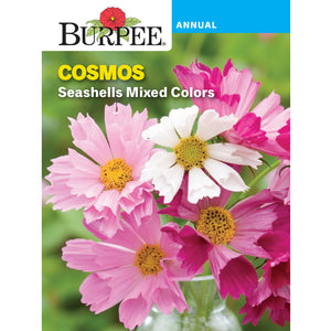 Seashells Cosmos flower seed pack