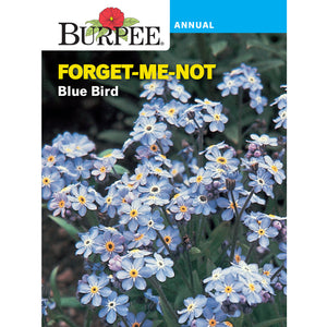 Forget-Me-Not Blue Bird flower seed pack