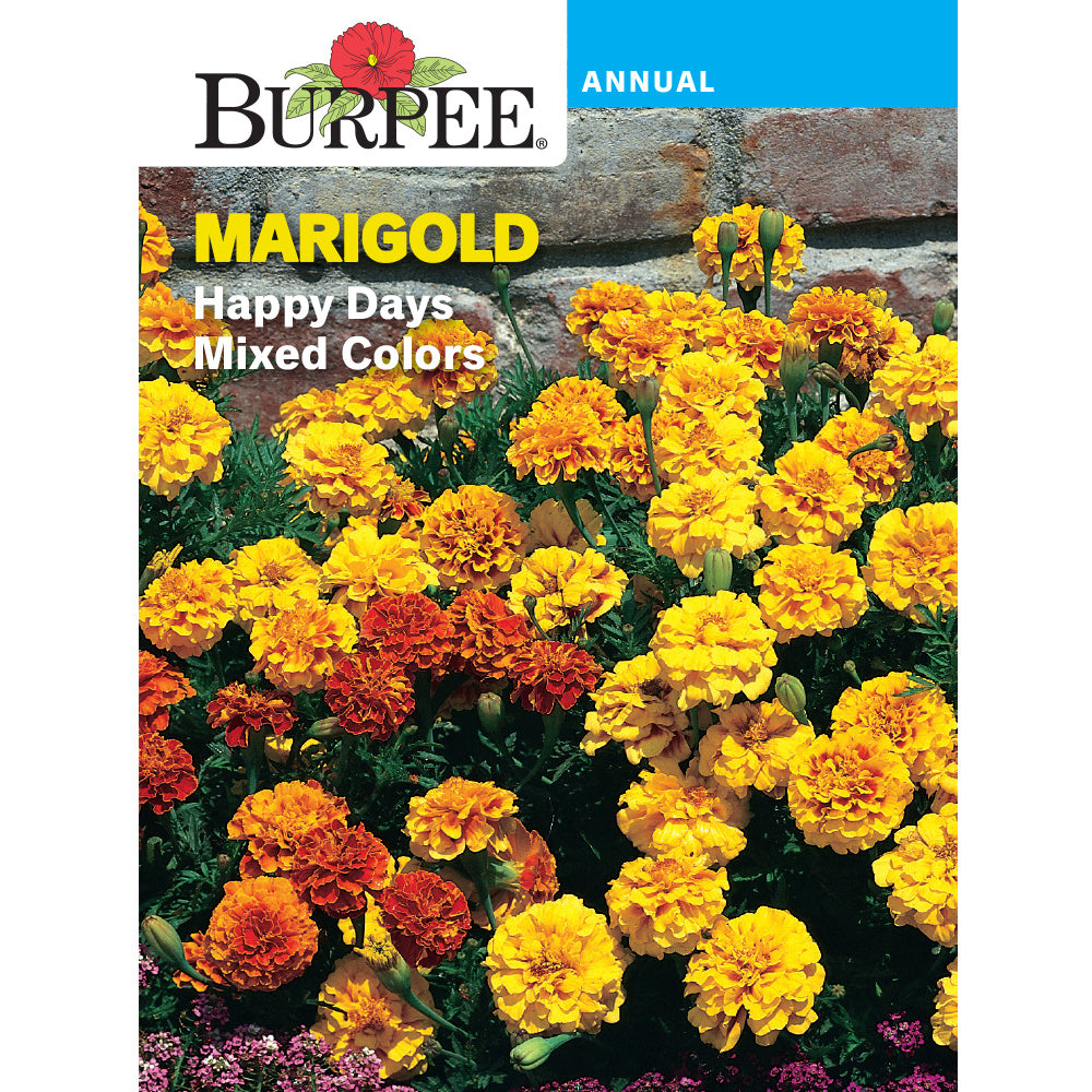 Marigold flower seed pack