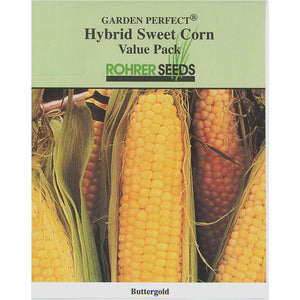 Buttergold Sweet Corn Rohrer Seeds