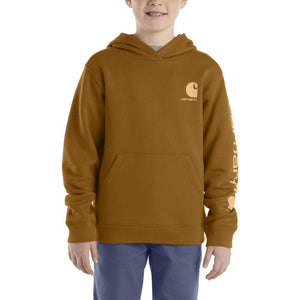 Carhartt Brown Youth Boys' Graphic Hoodie CA6480-D17