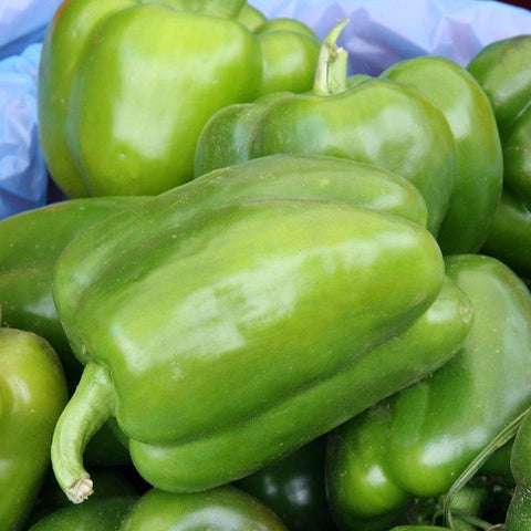 Bright green bell peppers