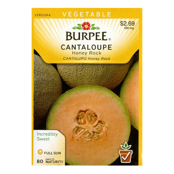 Honey Rock Cantaloupe Seed Pack 58076