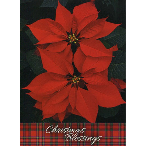 card 4 outside