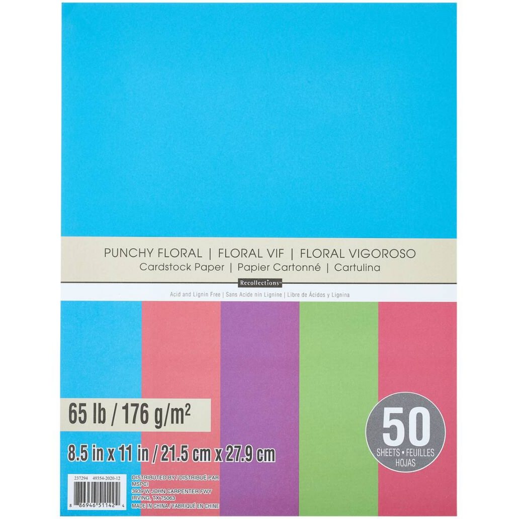  Recollections Cardstock Paper, 8 1/2 X 11 Primary Colors - 50  Sheets (Value 2-pack) : Arts, Crafts & Sewing