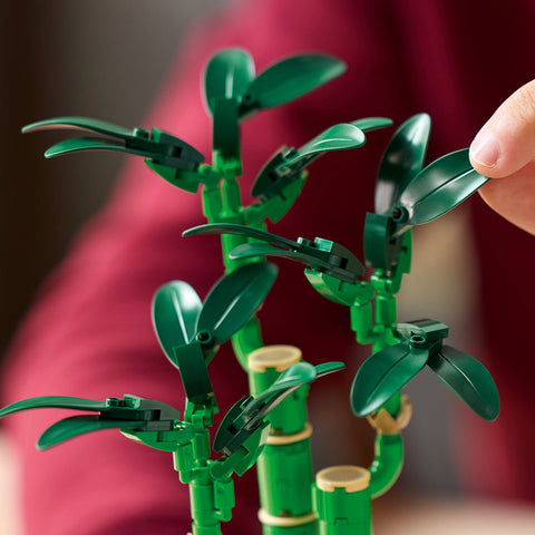 assemble, LEGO Botanicals Lucky Bamboo Building Set 10344
