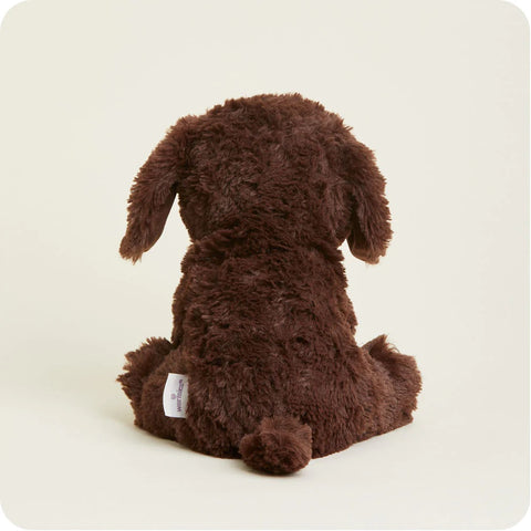 Back of Dog